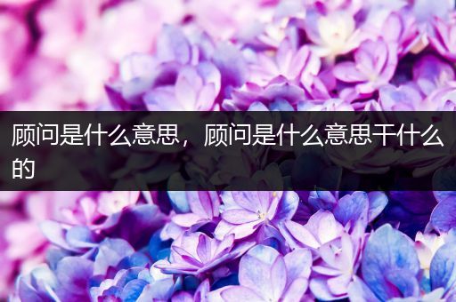 顾问是什么意思，顾问是什么意思干什么的