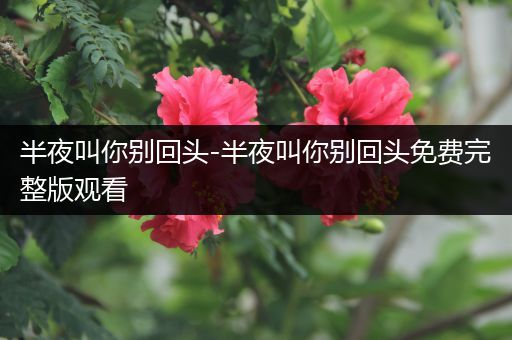 半夜叫你别回头-半夜叫你别回头免费完整版观看