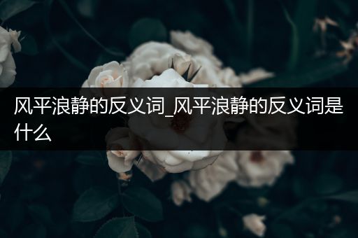 风平浪静的反义词_风平浪静的反义词是什么
