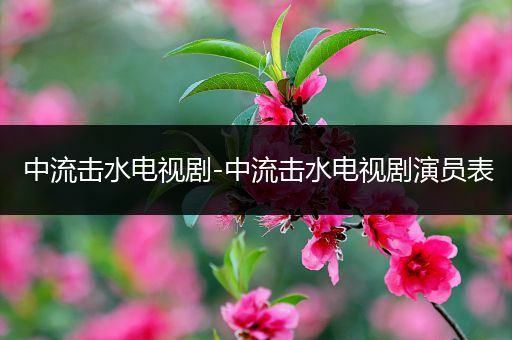 中流击水电视剧-中流击水电视剧演员表