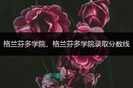格兰芬多学院，格兰芬多学院录取分数线