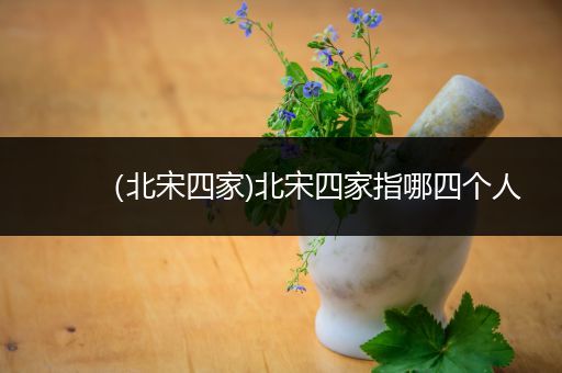 （北宋四家)北宋四家指哪四个人