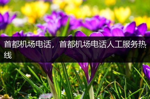 首都机场电话，首都机场电话人工服务热线