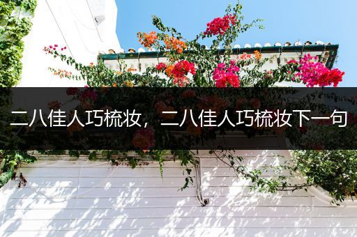 二八佳人巧梳妆，二八佳人巧梳妆下一句