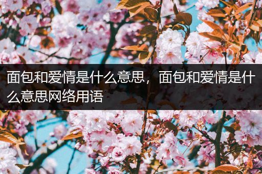 面包和爱情是什么意思,面包和爱情是什么意思网络用语