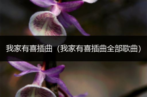 我家有喜插曲(我家有喜插曲全部歌曲)