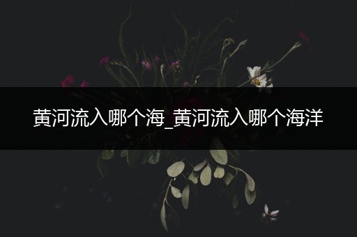 黄河流入哪个海_黄河流入哪个海洋