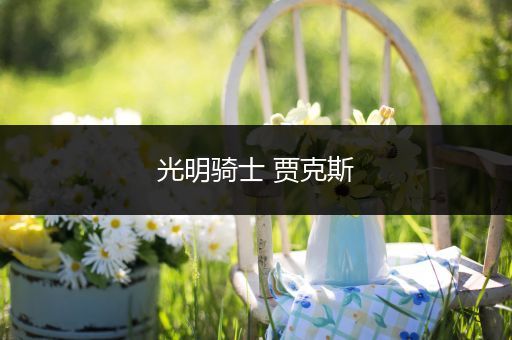 光明骑士 贾克斯