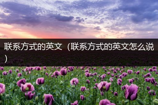 联系方式的英文(联系方式的英文怎么说)