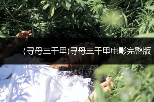 （寻母三千里)寻母三千里电影完整版