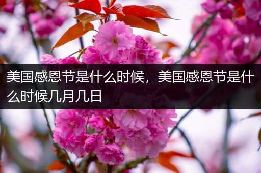 美国感恩节是什么时候,美国感恩节是什么时候几月几日