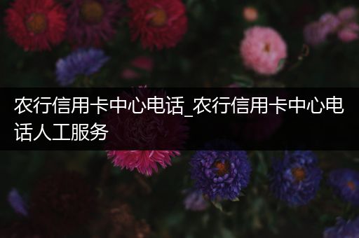 农行信用卡中心电话_农行信用卡中心电话人工服务