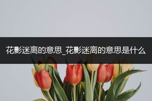花影迷离的意思_花影迷离的意思是什么
