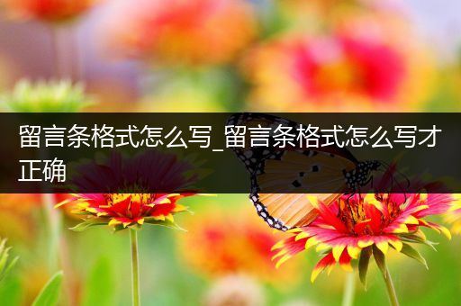 留言条格式怎么写_留言条格式怎么写才正确