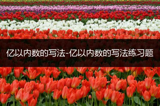 亿以内数的写法-亿以内数的写法练习题