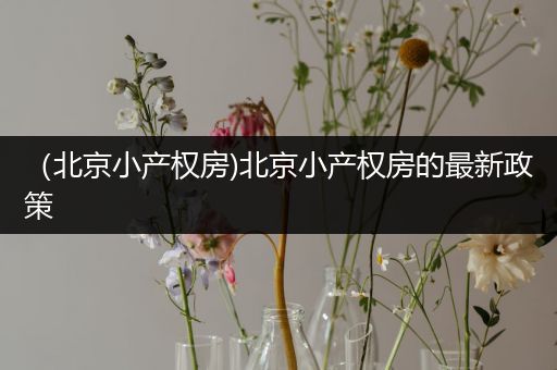 （北京小产权房)北京小产权房的最新政策