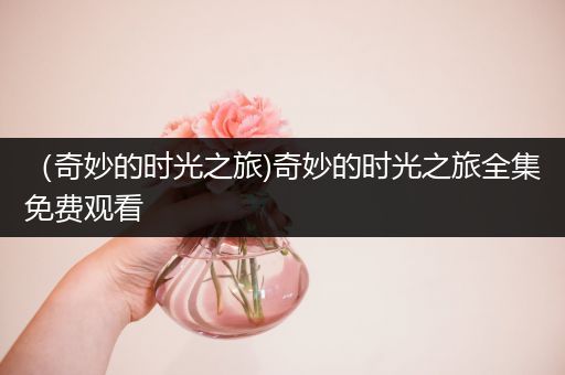 （奇妙的时光之旅)奇妙的时光之旅全集免费观看