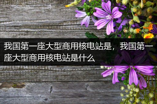 我国第一座大型商用核电站是，我国第一座大型商用核电站是什么