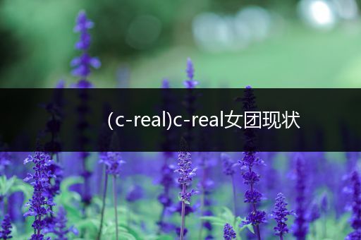 （c-real)c-real女团现状