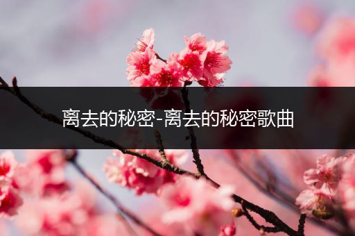 离去的秘密-离去的秘密歌曲