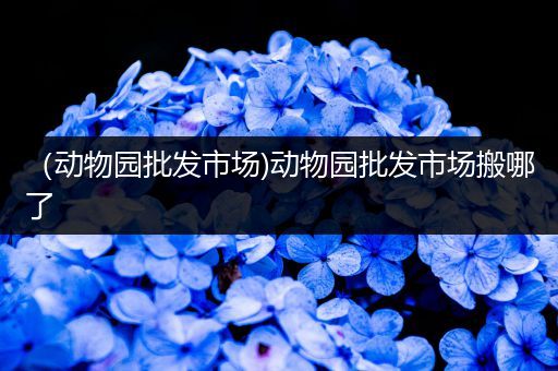 （动物园批发市场)动物园批发市场搬哪了