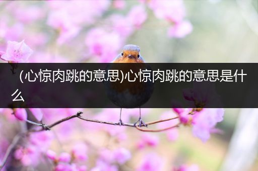 （心惊肉跳的意思)心惊肉跳的意思是什么