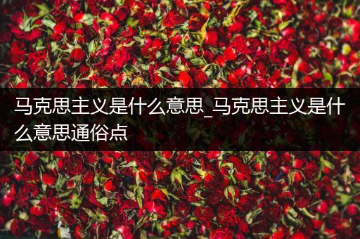 马克思主义是什么意思_马克思主义是什么意思通俗点