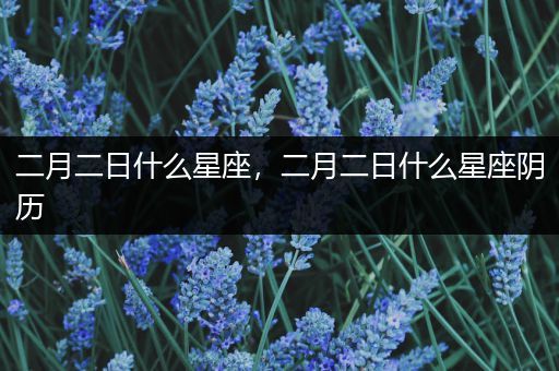 二月二日什么星座,二月二日什么星座阴历