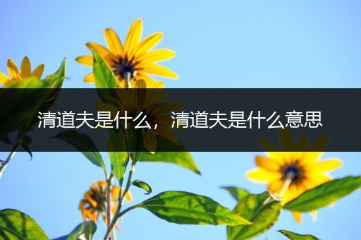 清道夫是什么,清道夫是什么意思