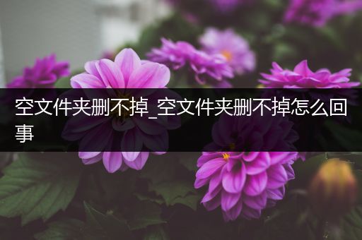 空文件夹删不掉_空文件夹删不掉怎么回事