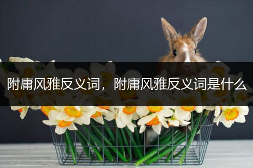 附庸风雅反义词,附庸风雅反义词是什么