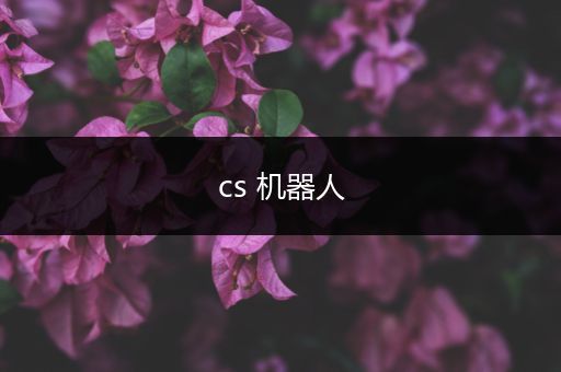 cs 机器人