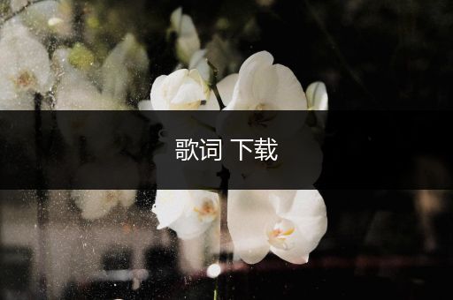 歌词 下载