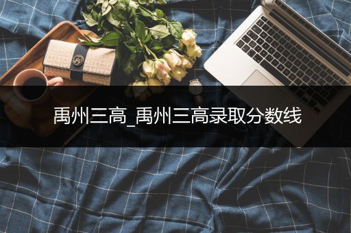 禹州三高_禹州三高录取分数线