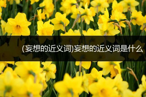 （妄想的近义词)妄想的近义词是什么