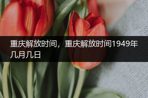 重庆解放时间，重庆解放时间1949年几月几日