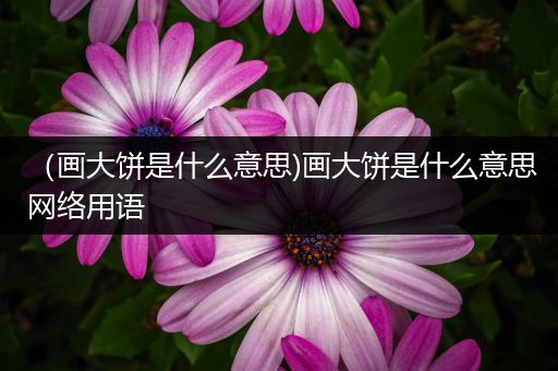 （画大饼是什么意思)画大饼是什么意思网络用语