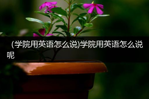 (学院用英语怎么说)学院用英语怎么说呢