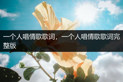 一个人唱情歌歌词，一个人唱情歌歌词完整版