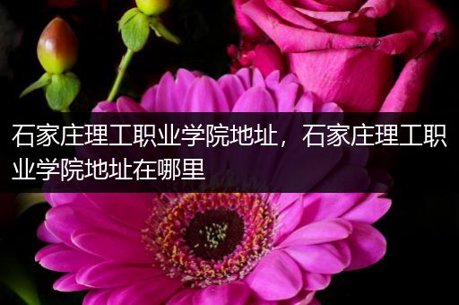 石家庄理工职业学院地址，石家庄理工职业学院地址在哪里