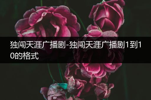 独闯天涯广播剧-独闯天涯广播剧1到10的格式