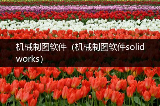 机械制图软件（机械制图软件solidworks）