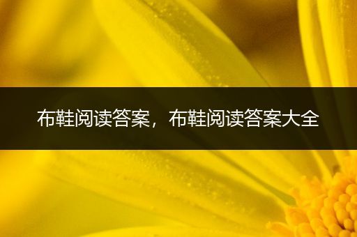 布鞋阅读答案，布鞋阅读答案大全