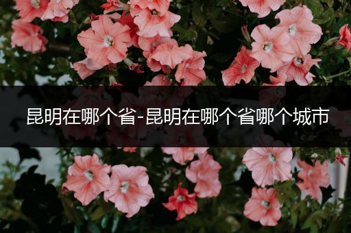 昆明在哪个省-昆明在哪个省哪个城市