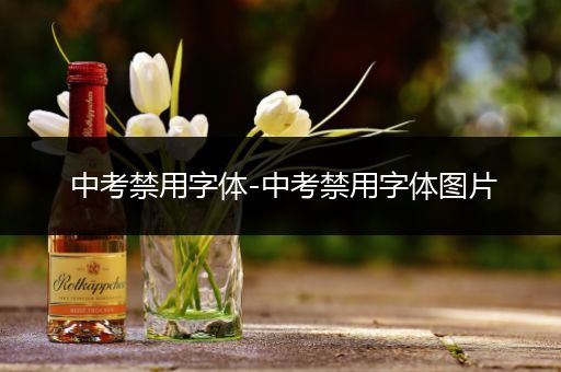 中考禁用字体-中考禁用字体图片
