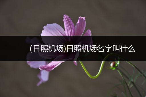 （日照机场)日照机场名字叫什么