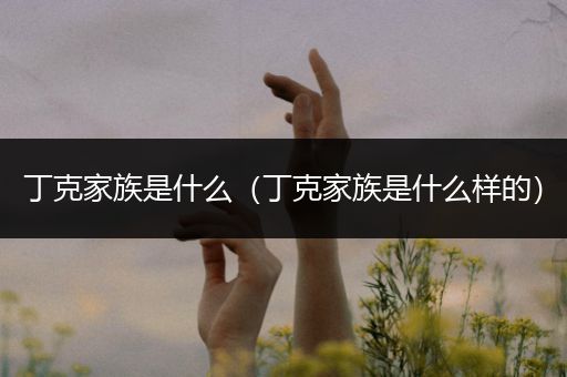 丁克家族是什么(丁克家族是什么样的)