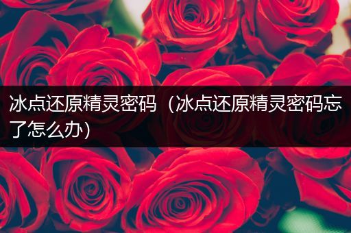 冰点还原精灵密码(冰点还原精灵密码忘了怎么办)