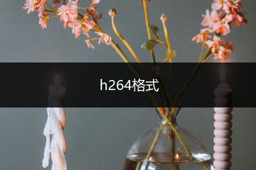 h264格式