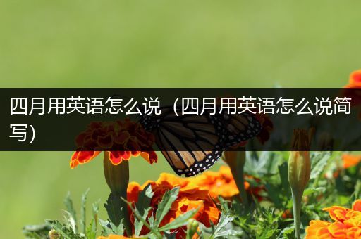 四月用英语怎么说(四月用英语怎么说简写)